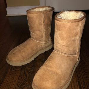 Uggs chestnut
